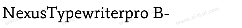 NexusTypewriterpro B字体转换